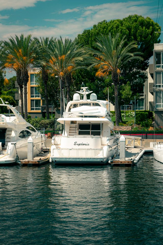 Cruises